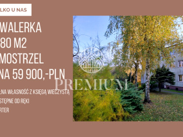 Mieszkanie Samostrzel