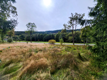 Działka budowlana Jarkowice