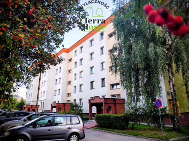 Mieszkanie Kielce