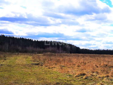 Działka Szprotawa