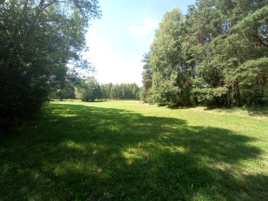 Działka siedliskowa Lipinki