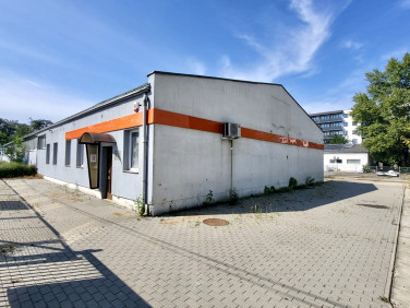 Lokal Wrocław