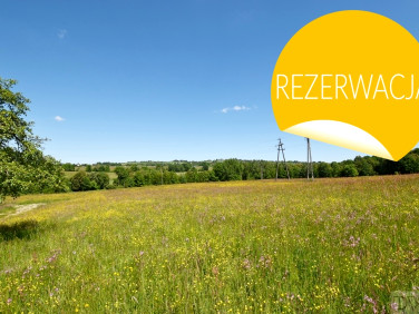 Działka Tarnawa