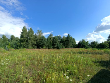 Działka Imielin