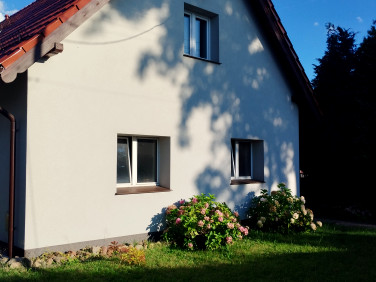 Lokal Oborniki Śląskie