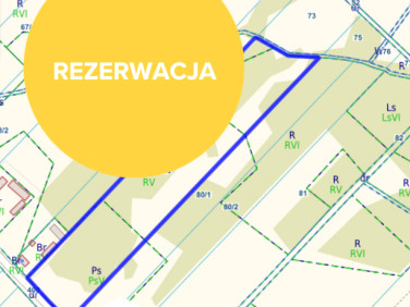 Działka Karczewizna