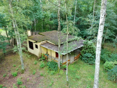 Działka budowlana Sokolniki-Las sprzedam