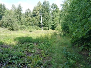 Działka Karpacz