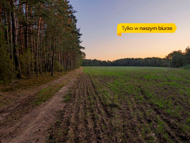 Pusta działka Szerenosy