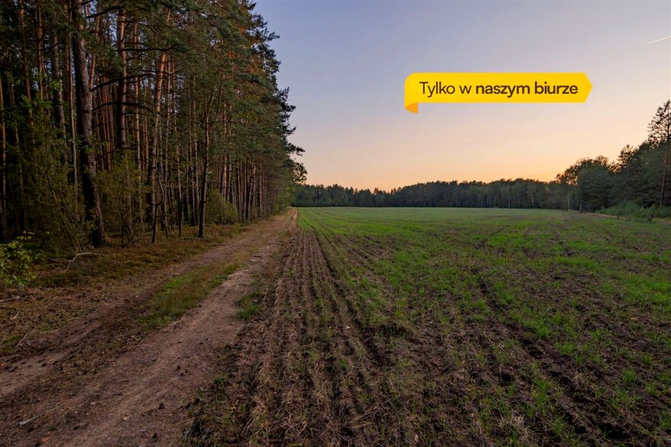 Pusta działka Szerenosy