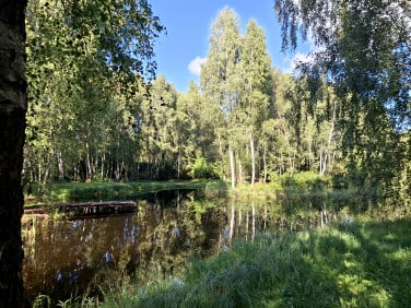Działka budowlana Starzykowo