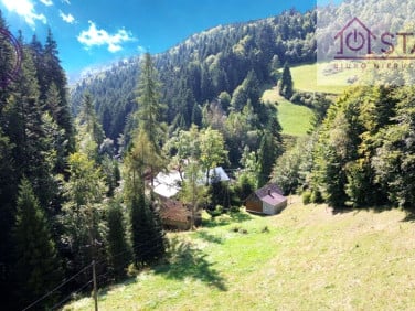 Działka Ochotnica Górna