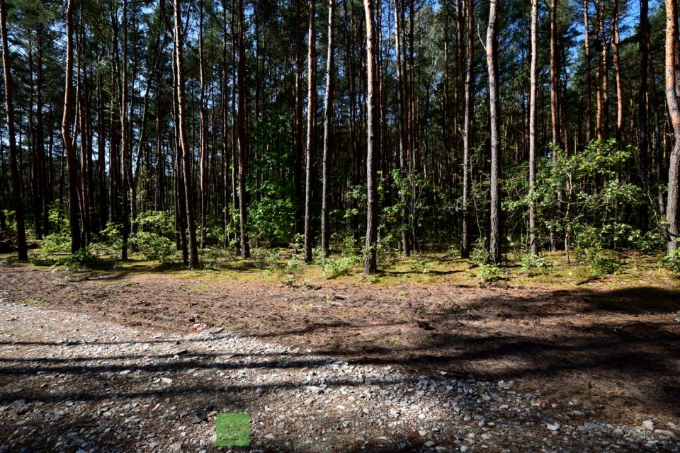 Pusta działka Sulejówek