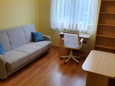 Pokój Toruń