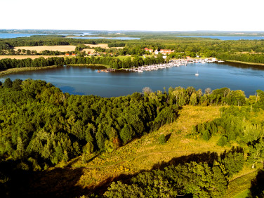 Działka rolno-leśna Sztynort