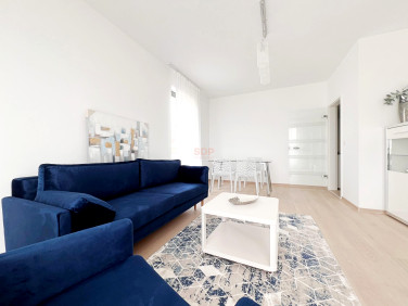 Mieszkanie apartamentowiec wynajem