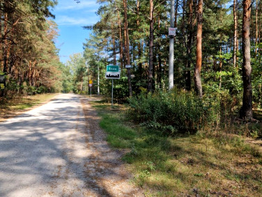 Dom Emów
