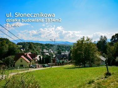 Działka budowlana Żywiec