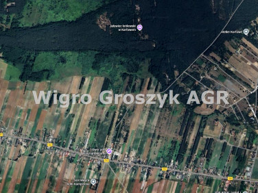 Pusta działka Wiejca