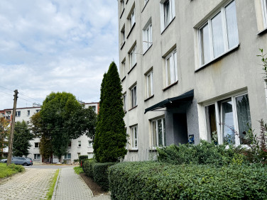 Mieszkanie Sosnowiec