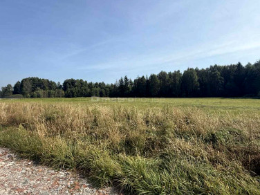 Działka budowlana Domanice-Kolonia