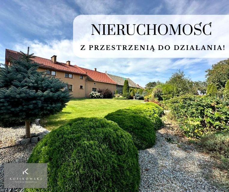 Dom Wilków