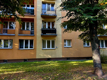 Mieszkanie PIOTRKÓW TRYBUNALSKI