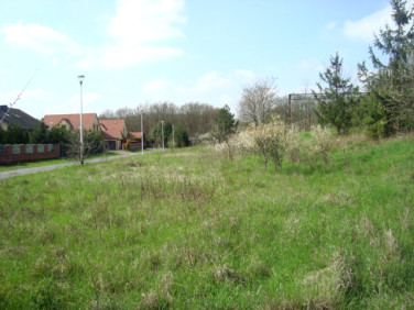 Pusta działka Miękinia