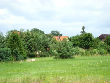 Działka Miękinia