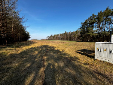 Działka rekreacyjna Romanów