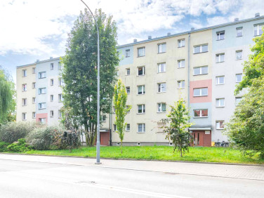 Mieszkanie Racibórz wynajem