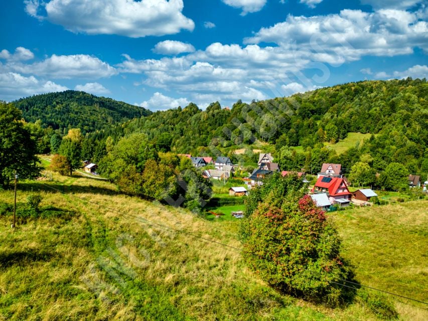 Zdjęcie 3