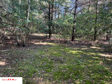Działka Siestrzeń
