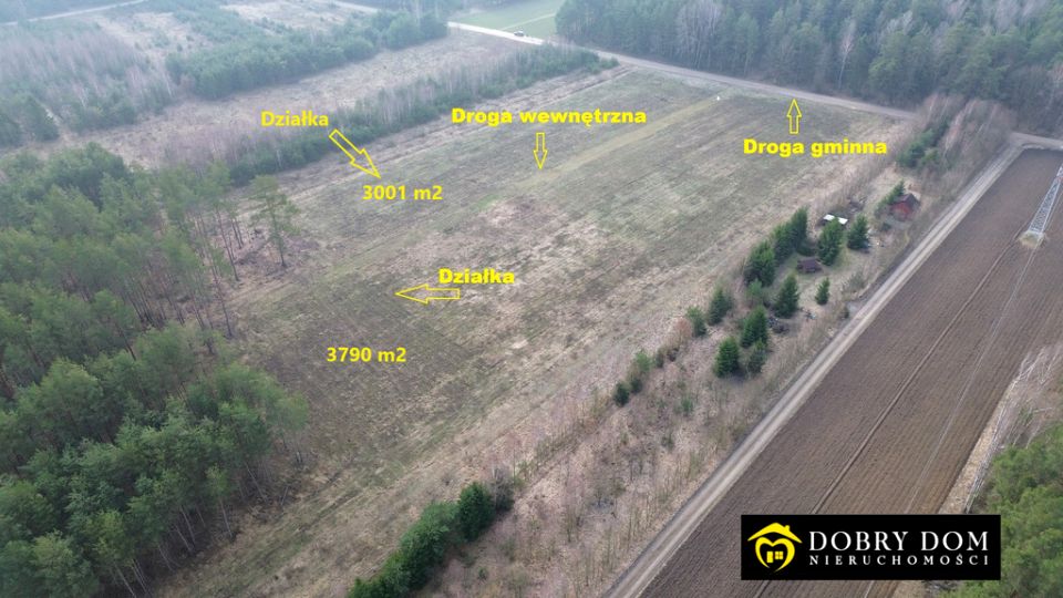 Działka przy lesie