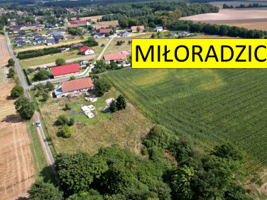 Działka budowlana Miłoradzice