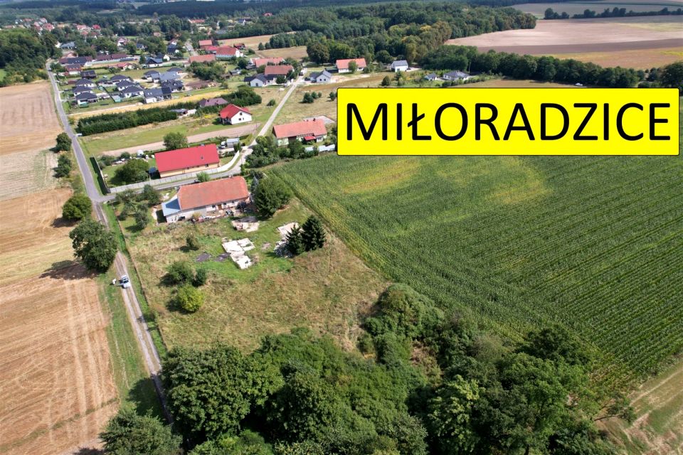 Działka budowlana Miłoradzice