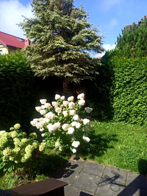 Mieszkanie Suchy Dwór