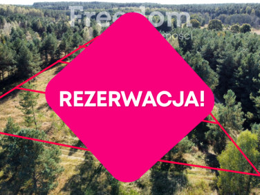 Działka Stepień