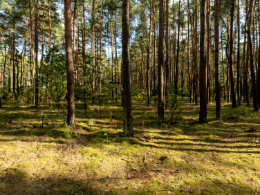 Działka budowlana Jamborek