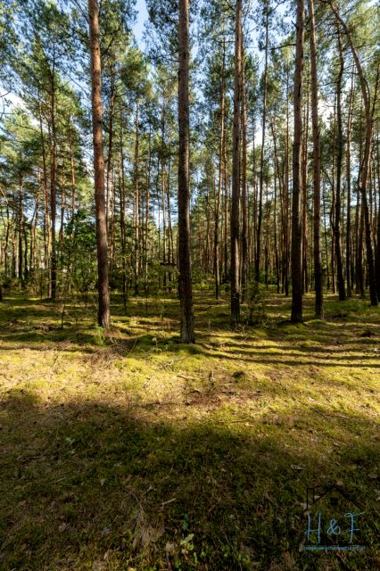 Działka budowlana Jamborek