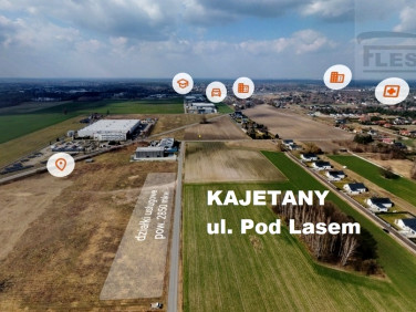 Działka Kajetany