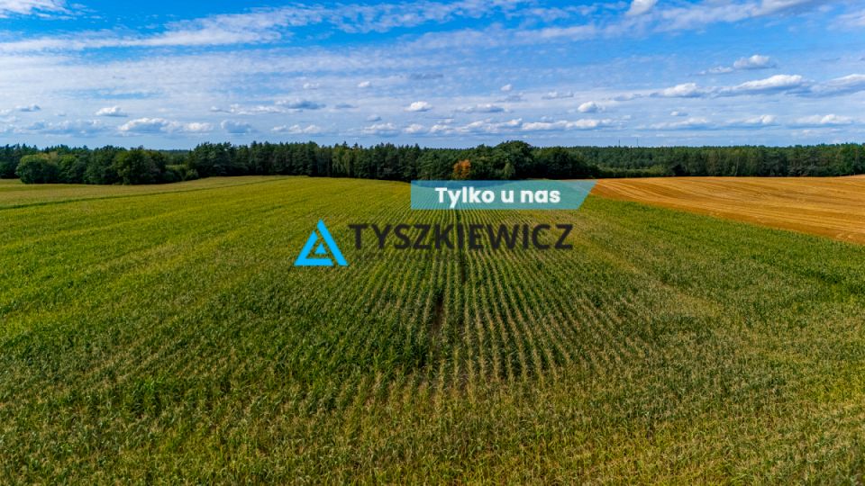 Działka rolna Lisewo