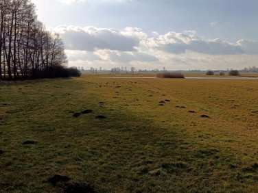 Działka rolna Rogóźno