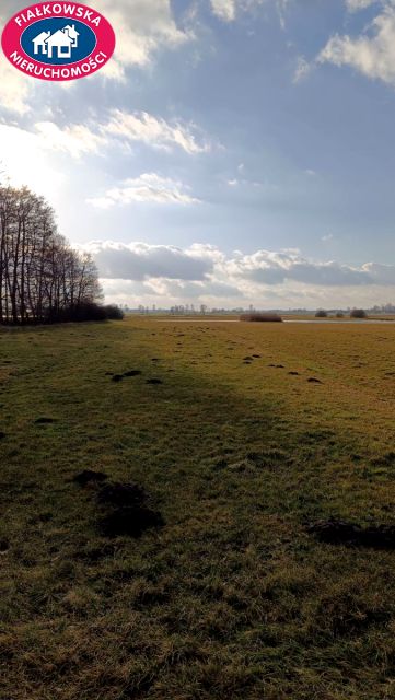Działka rolna Rogóźno