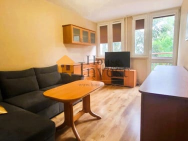 Mieszkanie Legnica