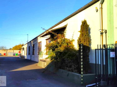 Budynek użytkowy Brzeziny sprzedaż