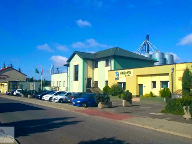 Budynek użytkowy Brzeziny