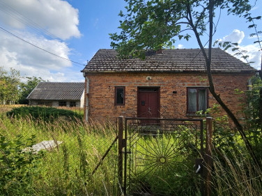 Dom Lubasz