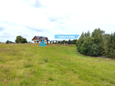 Działka przy lesie