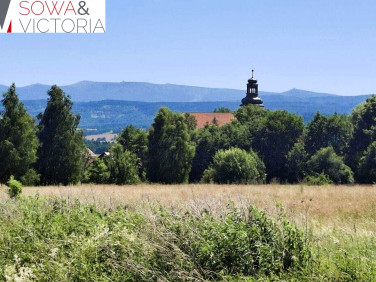Działka Grudza